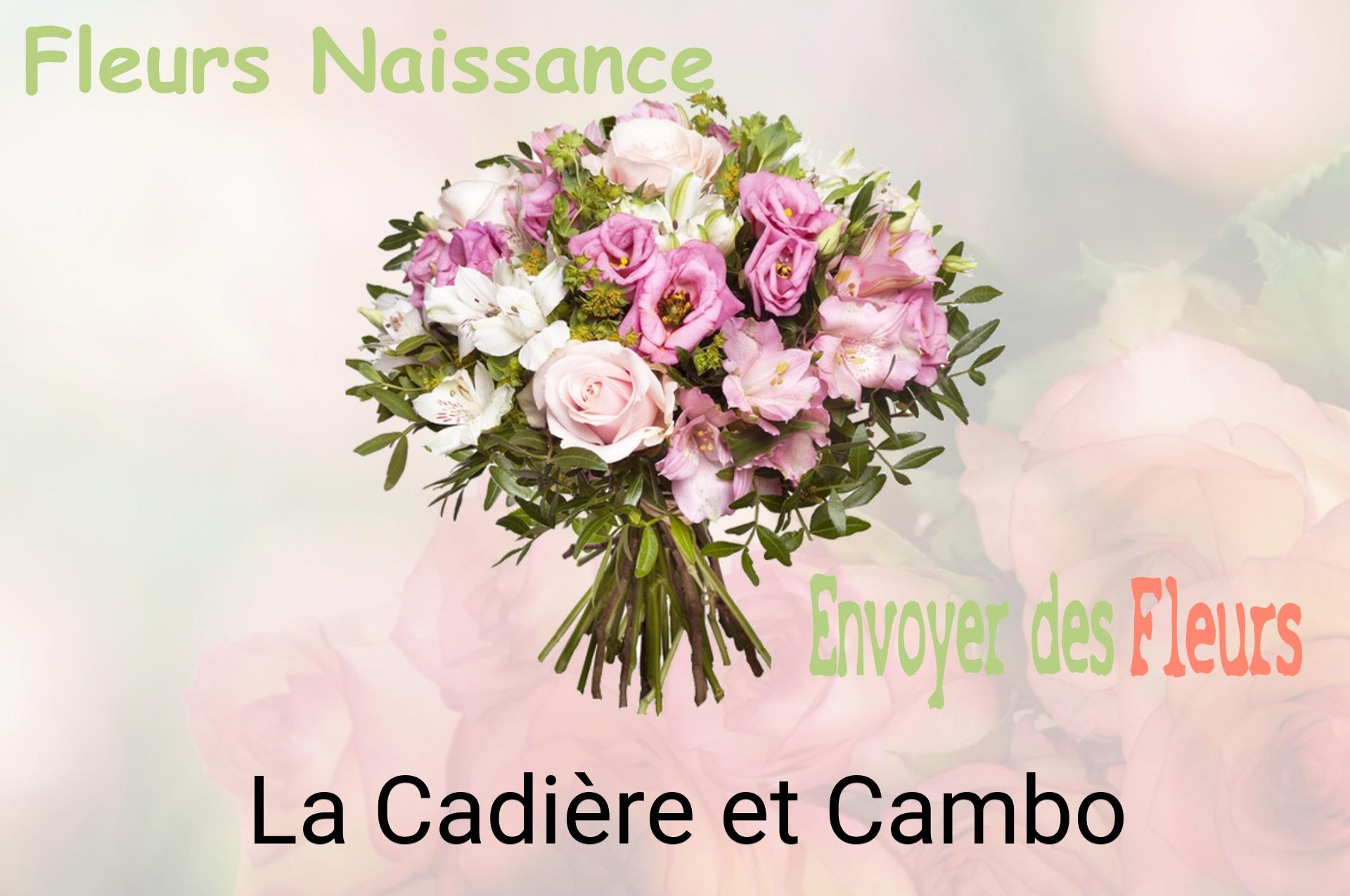 Bouquet de fleurs de naissance livré à La Cadière-et-Cambo